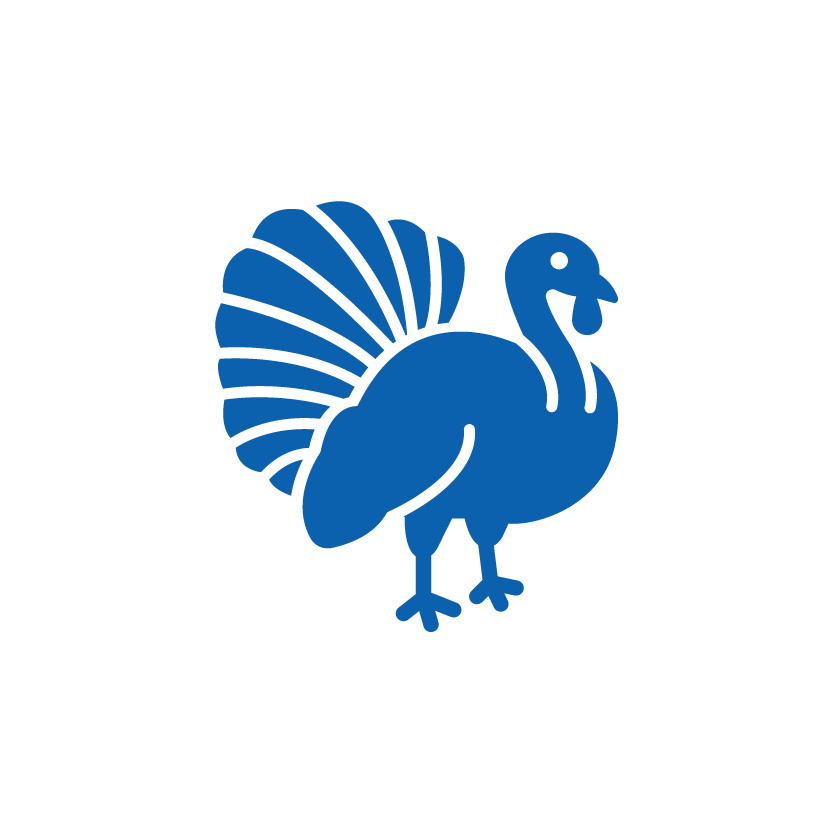 Turkey Icon