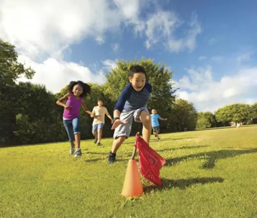 capture the flag cropped